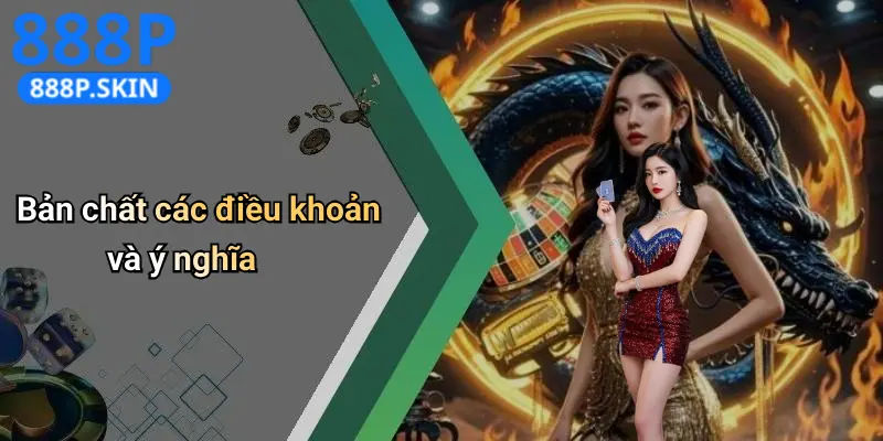 Điều Khoản Và Điều Kiện